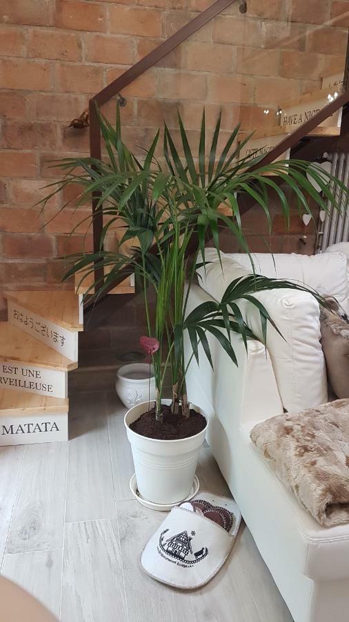 Appartement Loft Giuly à Vignanello Extérieur photo